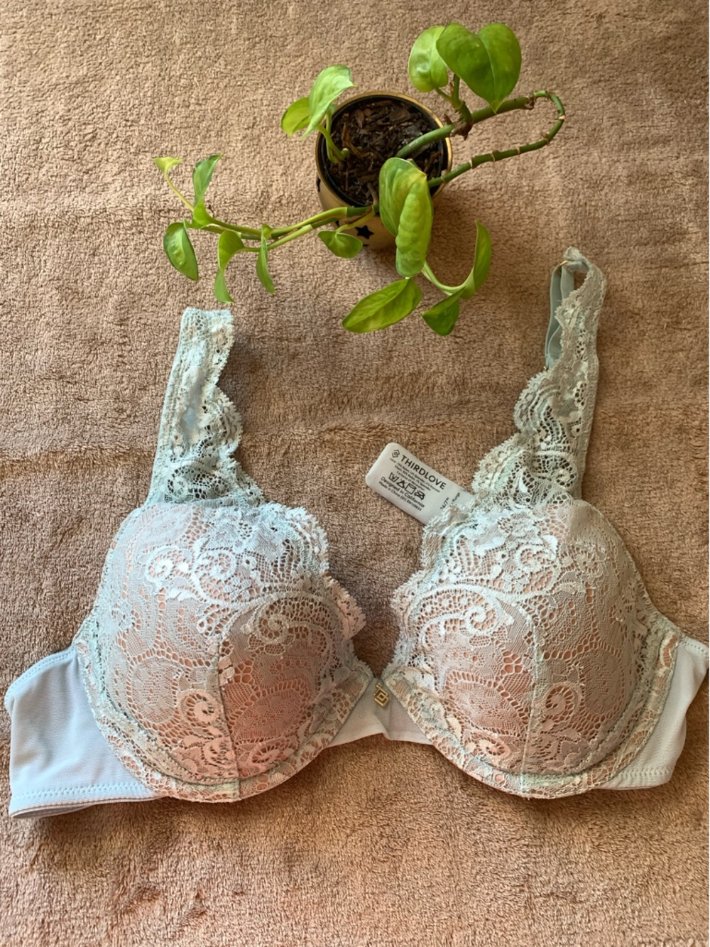 ThirdLove Lace Underwire Bra in Light Blue - lace contour plunge